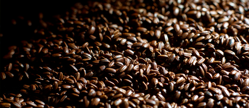 自然栽培 玄米黒煎りコーヒーテイスト