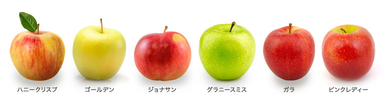 アップルソース