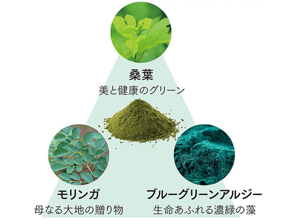 桑葉、モリンガ、ブルーグリーンアルジーという3つのグリーン