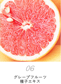 06グレープフルーツ種子エキス