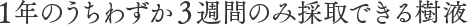 1年のうちわずか3週間のみ採取できる樹液