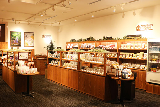 取扱店舗 国産オーガニックコスメ Amritara アムリターラ