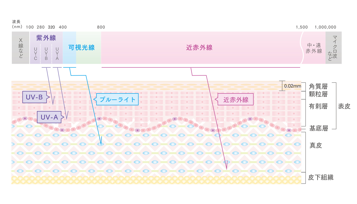 ブルーライトと近赤外線