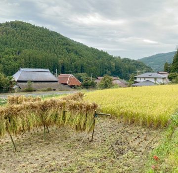 アムリターラ農園について～何も足さない米作り～