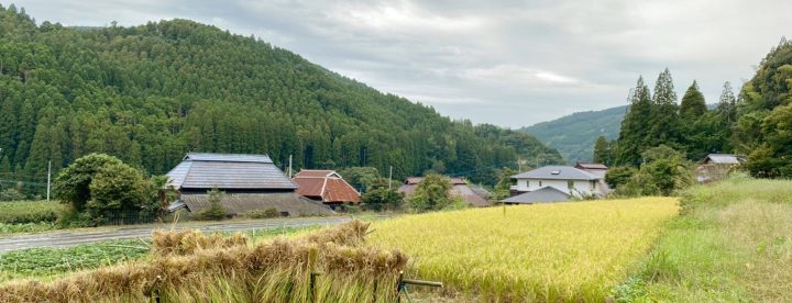 アムリターラ農園について～何も足さない米作り～