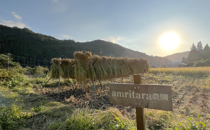 アムリターラ農園