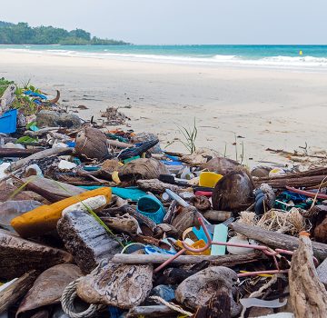 アムリターラが取り組む「社会のFLOW」<br>～循環の源、「海」を守るために～海洋プラスチックごみ問題