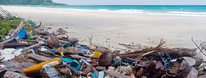 アムリターラが取り組む「社会のFLOW」<br>～循環の源、「海」を守るために～海洋プラスチックごみ問題