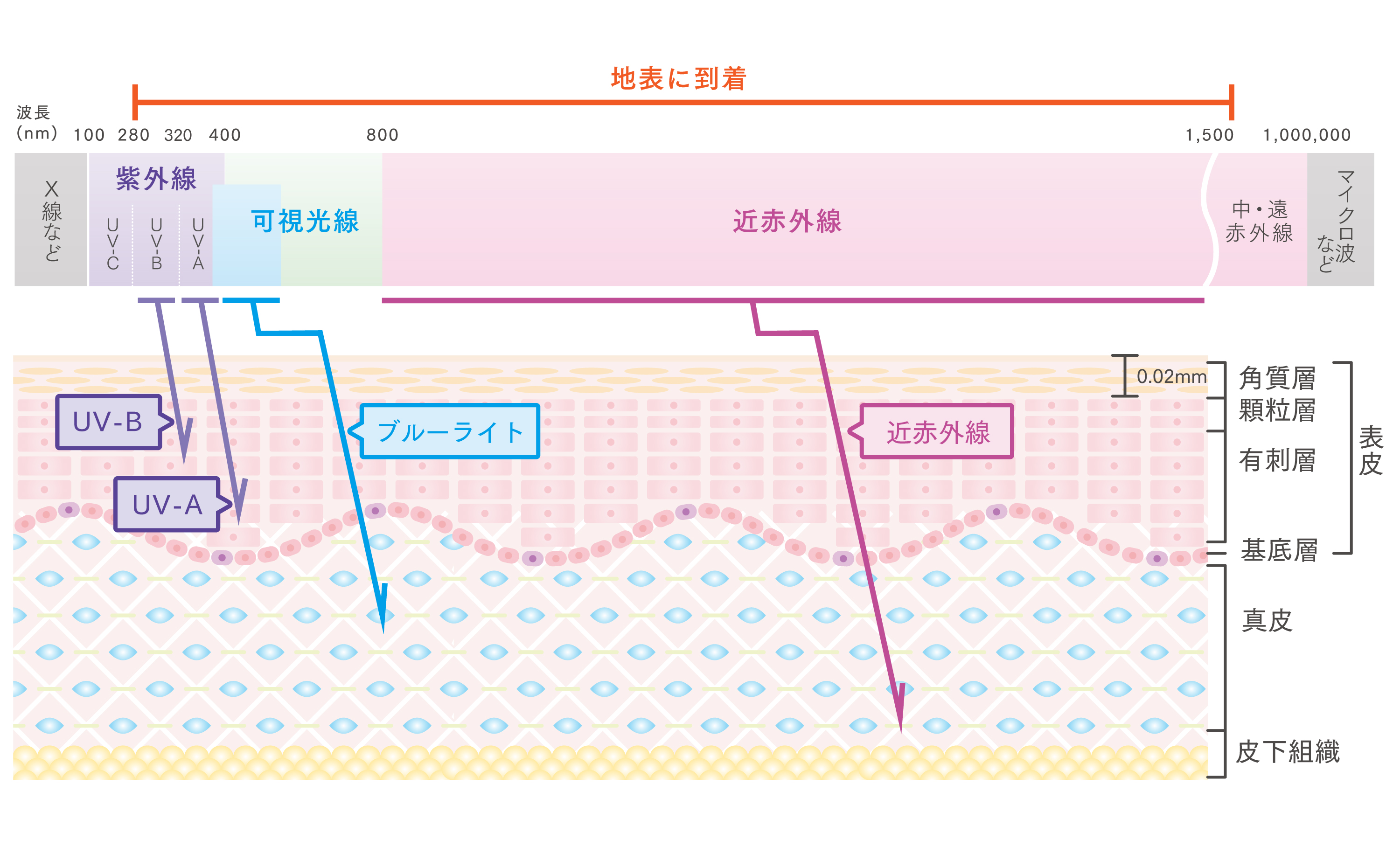 セリウムイベントレポート
