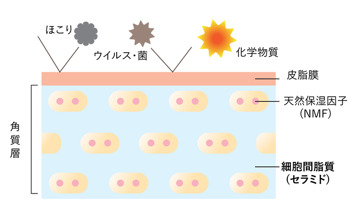 エイジソリューションクリーム リニューアル記念イベントレポート