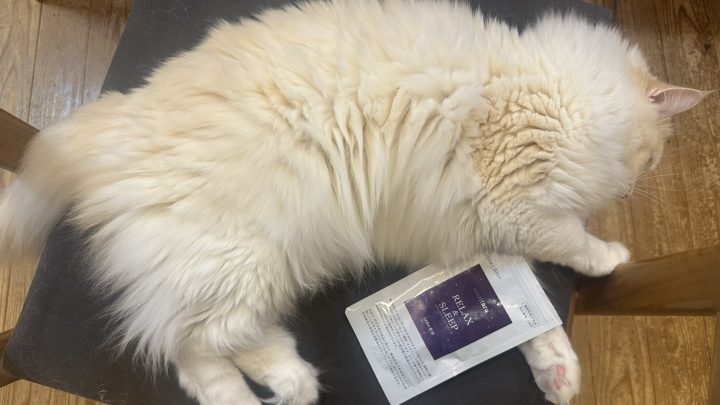 睡眠にも心にも「栄養」のサポートを