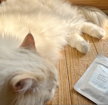 「ポリフェノールの爆弾」で内側から澄み渡る