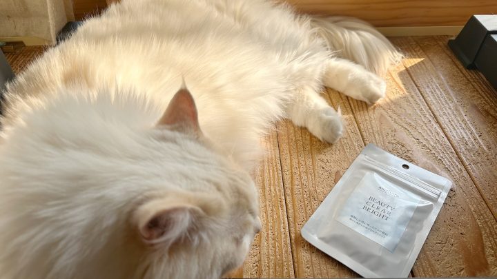 「ポリフェノールの爆弾」で内側から澄み渡る