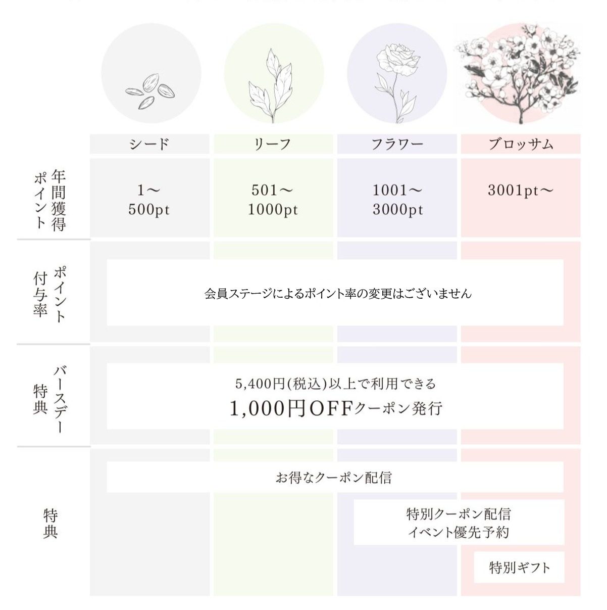 会員ステージ