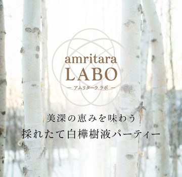 アムリターラLABO「美深の恵みを味わう 採れたて白樺樹液パーティー」イベントレポート